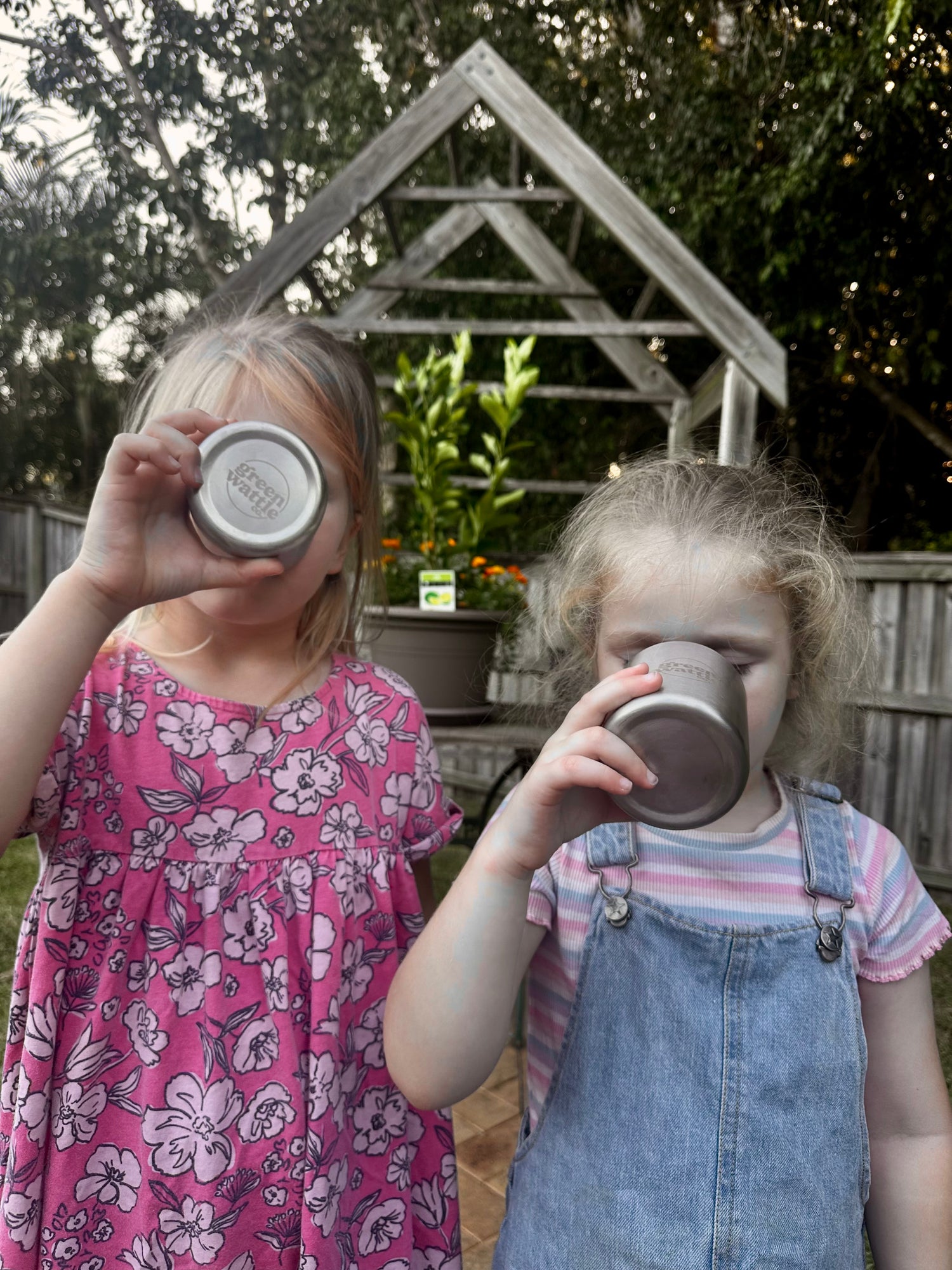 Stainless Steel Tumblers